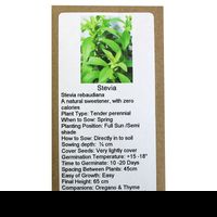 6 Degrees East Heirloom Herb Seeds - Stevia